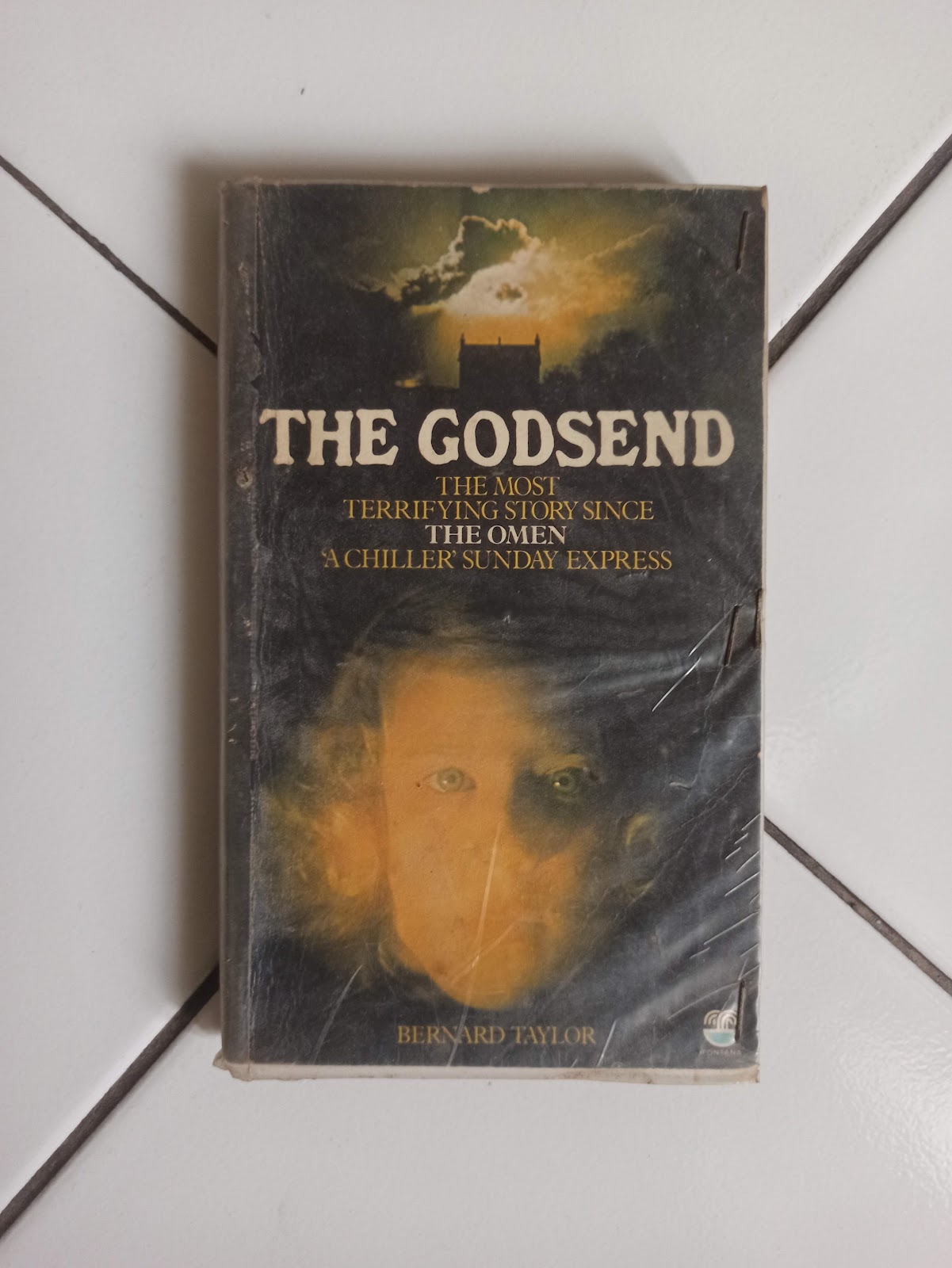 The Godsend by Bernard Taylor