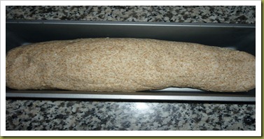 Pane integrale con pasta madre ai semi di sesamo (3) Pane integrale con pasta madre ai semi di sesamo (3)