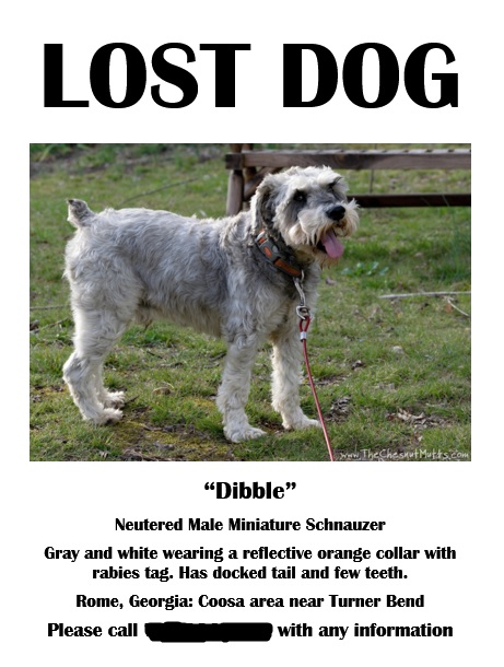 How to find a lost dog, make a lost dog sign