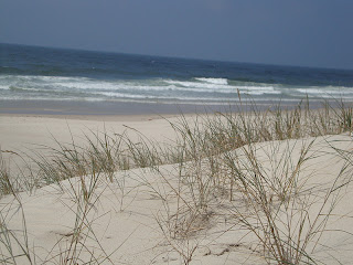 Osso da Baleia Beach dunes and sea photo