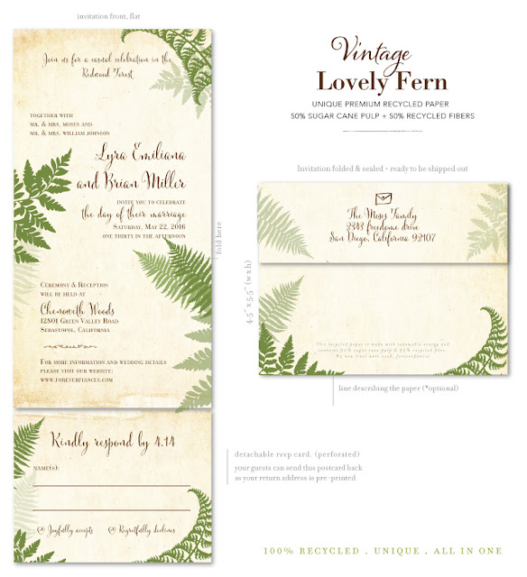 Lovely Fern All-in-One