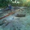 View album