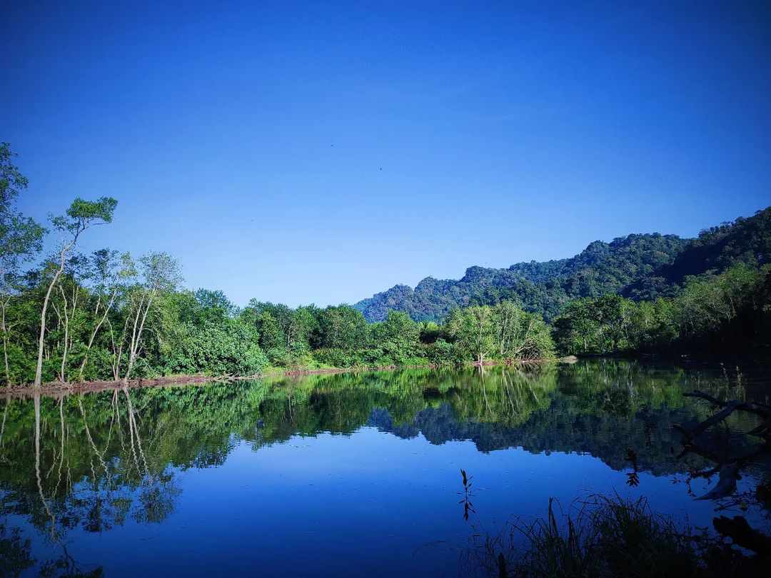 Taman Nasional Meru Betiri adalah salah satu taman nasional yang terletak di Provinsi Jawa Timur, Indonesia. Taman nasional ini memiliki luas sekitar 58.000 hektar dan meliputi wilayah di Kabupaten Jember dan Kabupaten Banyuwangi.