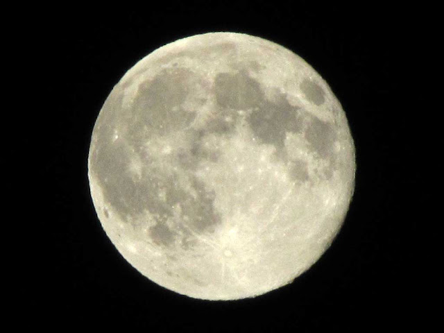 Luna sizigia al perigeo, superluna sopra Livorno