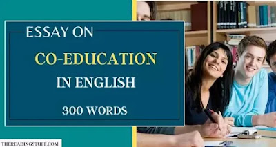 essay on co education in english