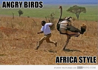 Fun With Angry Birds Africa Style