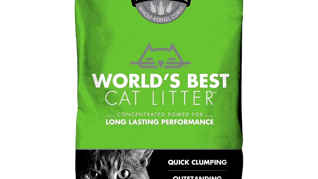 What Is Best Cat Litter