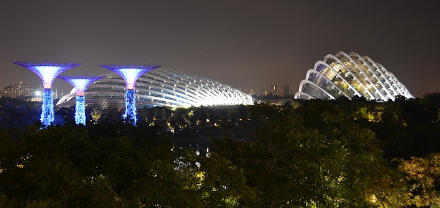 Gardens by the Bay at night domes