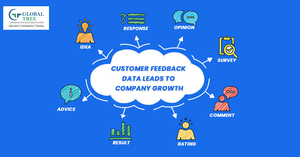 How to Collect and Analyze Customer Feedback