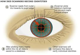 IRIS Scan On Work