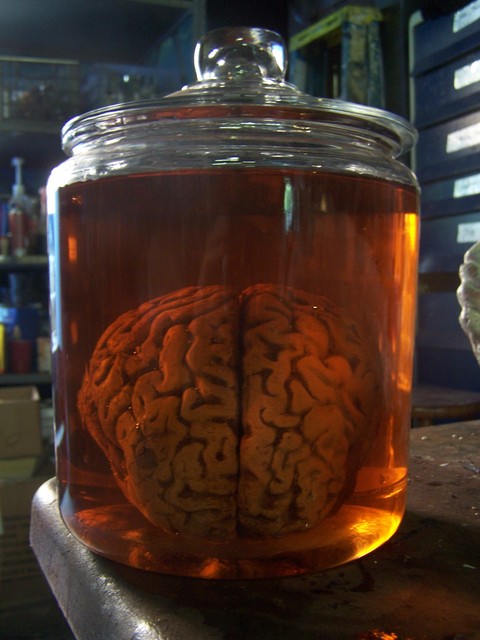 Brain Jar1