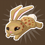 Leopard Bunny