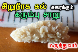 Siruneeraga kal karaiya iyarkai maruthuvam, siruneega kolaru, Natural Treatment for Kidney stone, சிறுநீரக கல் கரைய , சிறுநீரகம், iyarkai Marundhu thayarippu murai, iyarkai vaithiyam, paarambariyam, iyarkai maruthuvam, 