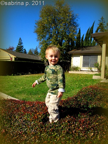 handsome you fall blustery nov 2011