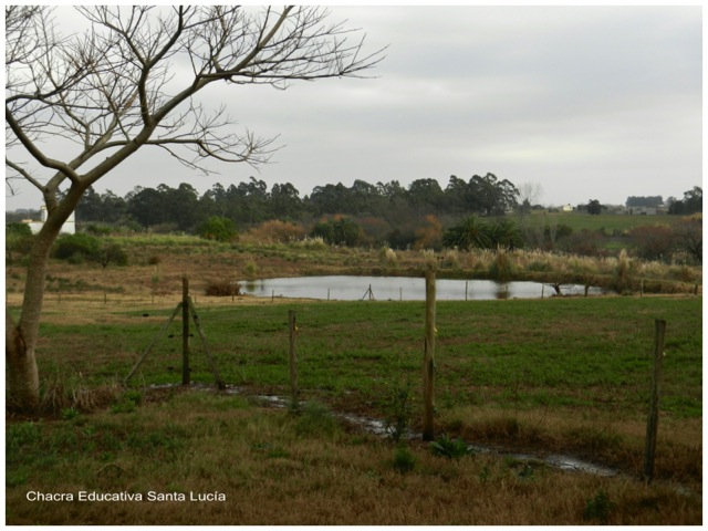 Los pastos reverdecieron gracias a la lluvia - Chacra Educativa Santa Lucía