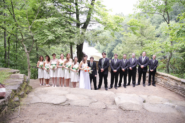 photo of a wedding party at Sunset Point at Turkey Run State Park