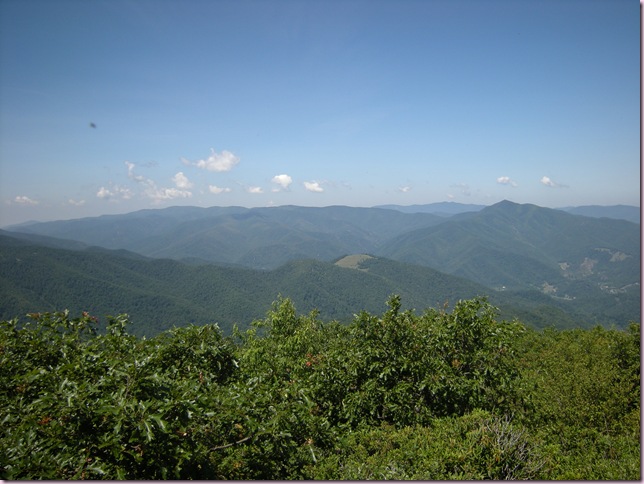 DSCN5170