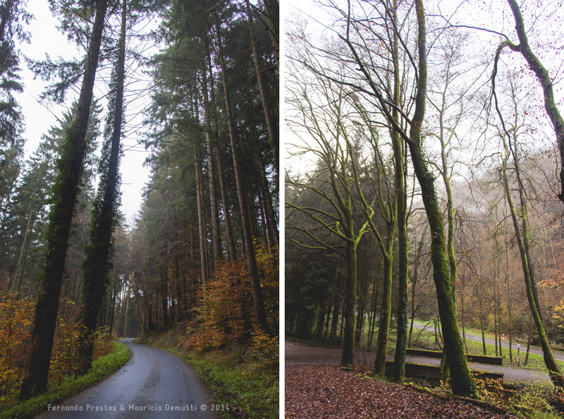 mullerthal trail Luxemburgo