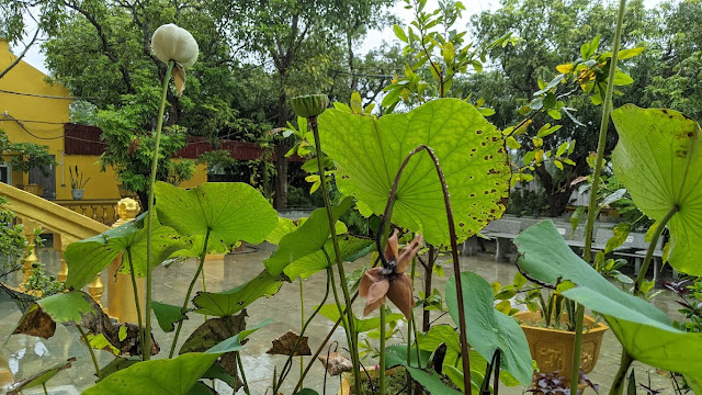 Do cái này có, cái kia có. 		Do cái này sinh, cái kia sinh. 		Do cái này không có, cái kia không có. 		Do cái này diệt, cái kia diệt."