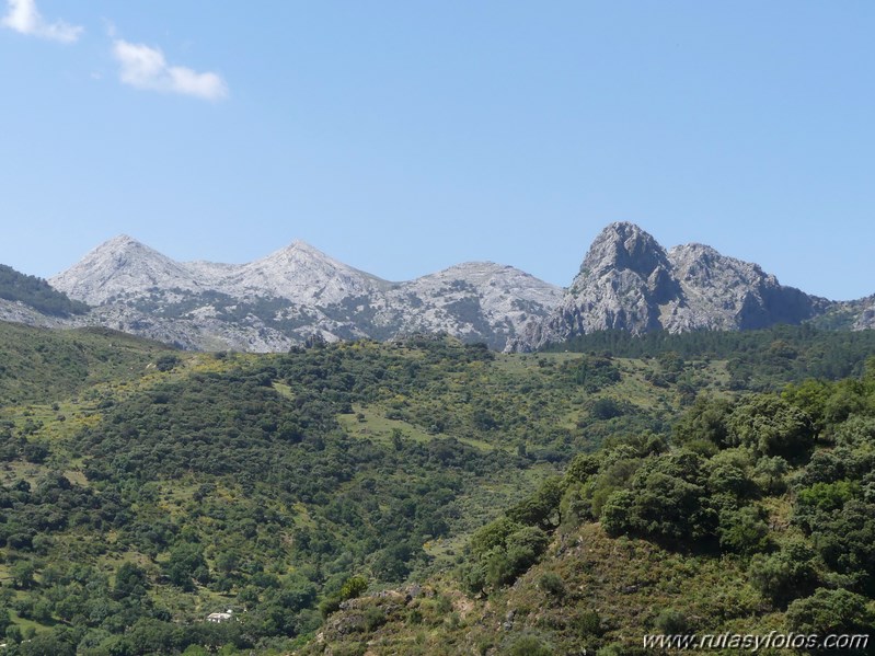 Grazalema - Monte Prieto - Cerro Coros - Embalse del Fresnillo