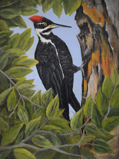 Painting Pileated Woodpecker Session 6