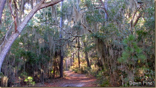 Harris Neck NWR_007