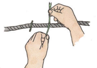 Securing the ends of the rope