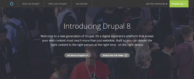 Choosing The Best Drupal 8.0.4 Hosting in 2016