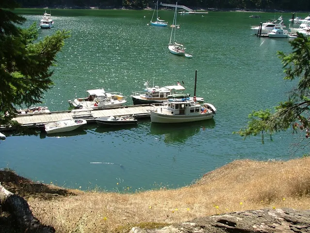 Reid Harbor dock on Stuart Island