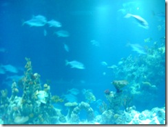 The Deep 019