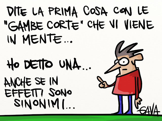 gavavenezia gava satira vignette venezia politica caricature ridere berlusconi bugie pinocchio gambe corte falso balle 
