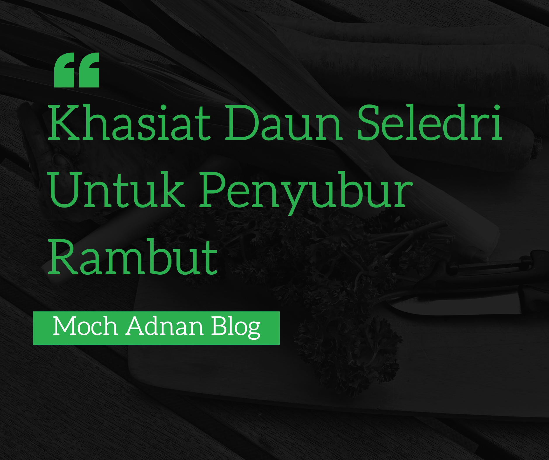 Khasiat Daun Seledri Untuk Penyubur Rambut