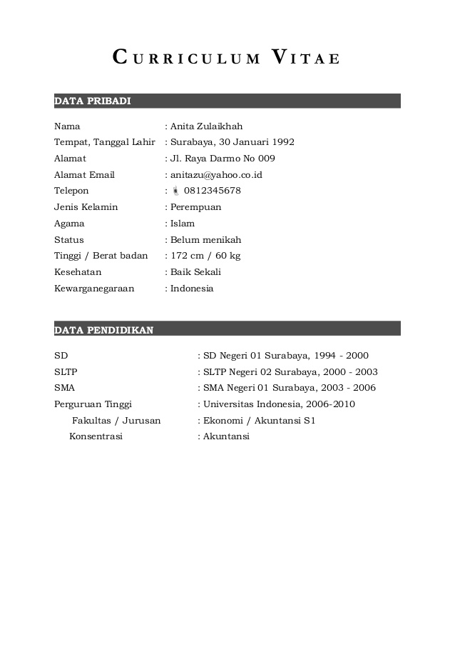 Contoh Curriculum Vitae Doc - cv nabila