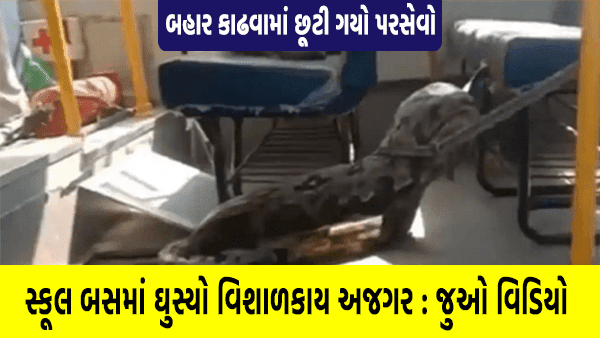 A giant python entered the school bus video