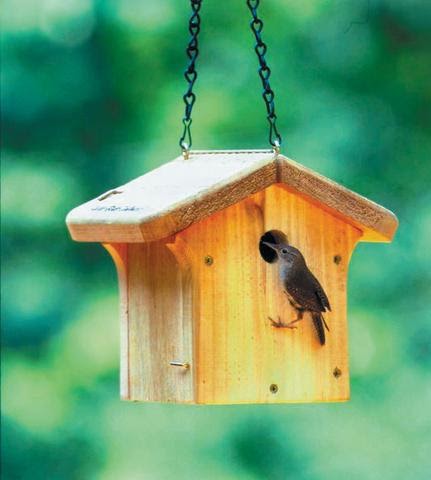 Wild Birds Unlimited: Do you need to clean out bird houses?