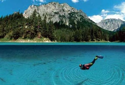 Beautiful Underwater Meadow