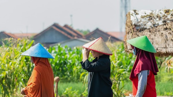 Dianggap Pencitraan Pakai Caping di Sawah, Puan: Panas Luar Biasa, Ini Pelindung Petani