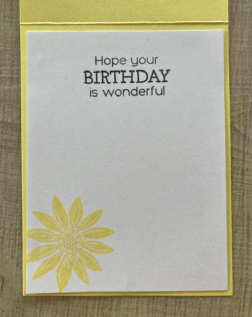 vellum-Fun-Patterns-Embossing-Folder-Lemon-Lolly-Stampin-Up