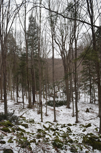 Winter Hike at Webster's Falls in Hamilton - TheCraftyMann.Blogspot.com