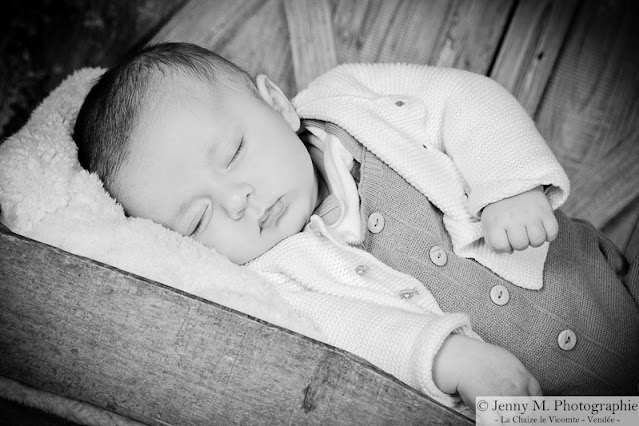 photographe bébé famille maternité venansault les clouzeaux landeronde beaulieu sous la roche