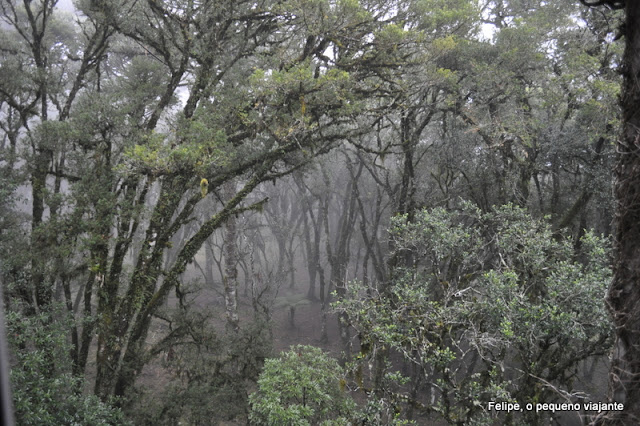 laje_de_pedra_hotel_resort_canela-serra_gaucha