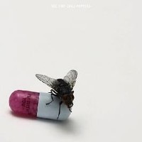 Red Hot Chili Peppers – I’m With You (2011)