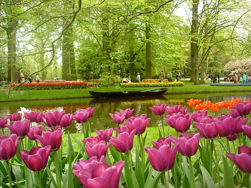 1. Keukenhof Gardens, The Netherlands - 5 Incredible Gardens That Will Blow Your Mind