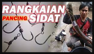 Rangkaian Pancing Sidat, Pelus dan Uling