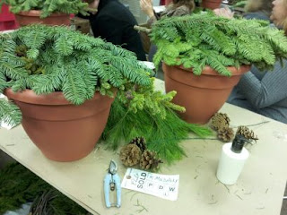 winter container garden