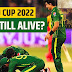 Pakistan's_|_Unique_and_Remarkable_Journey_in_T20_World_Cup_2022.