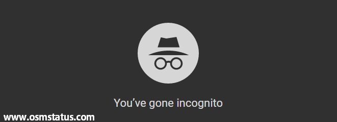 Inprivate window  |  Open a new incognito tab