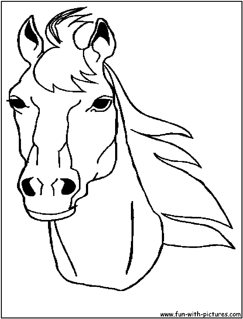 Download Animal Stronger " Horse Head " coloring to print | kentscraft