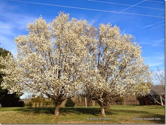 Spring2014 004