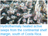 https://sciencythoughts.blogspot.com/2012/03/hydrothermaly-heated-active-seeps-from.html